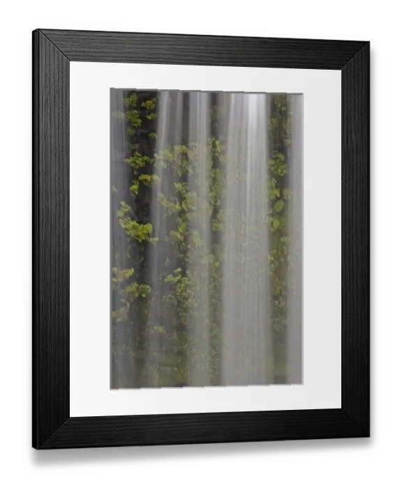 Framed Print : USA, Oregon, Willamette National Forest. Detail of Koosah Falls and maidenhair ferns Framed Print : USA, Oregon, Willamette National Forest. Detail of Koosah Falls and maidenhair ferns
