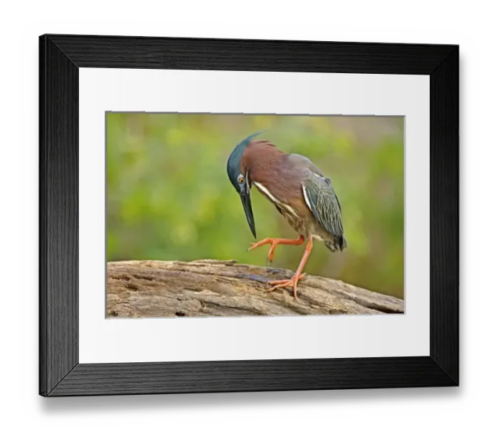 Framed Print : USA, North America, Texas Framed Print : USA, North America, Texas