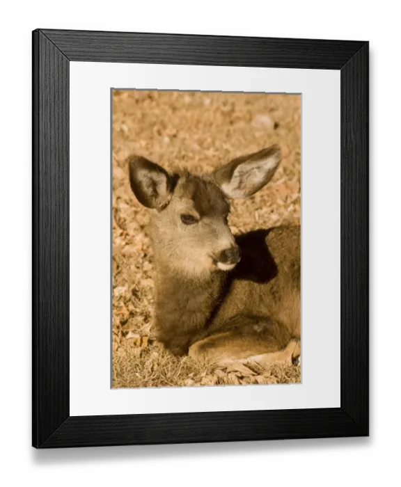 Framed Print : USA, North America, Utah Framed Print : USA, North America, Utah