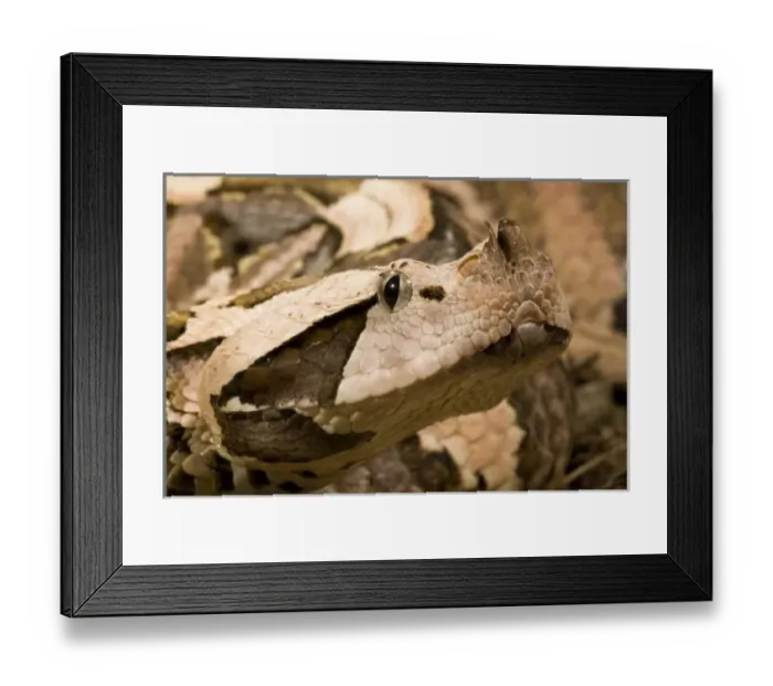 Framed Print : USA, North America, Pennsylvania