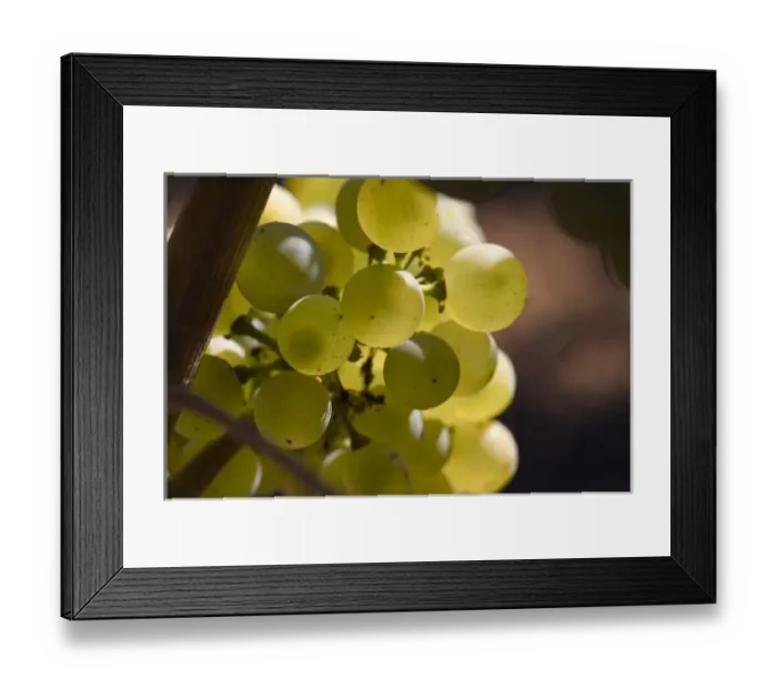 Framed Print : USA, North America, Oregon Framed Print : USA, North America, Oregon