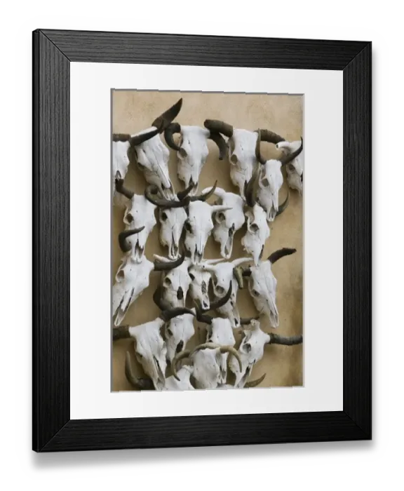 Framed Print : USA, North America, Texas Framed Print : USA, North America, Texas