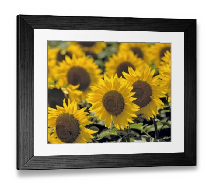 Framed Print : USA, North America, North Dakota