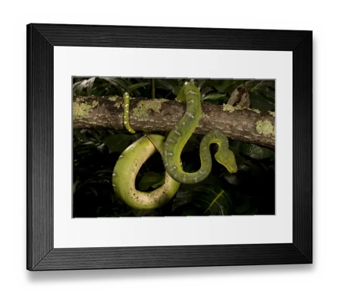 Framed Print : USA, North America, Pennsylvania