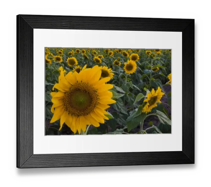 Framed Print : USA, North America, Texas Framed Print : USA, North America, Texas