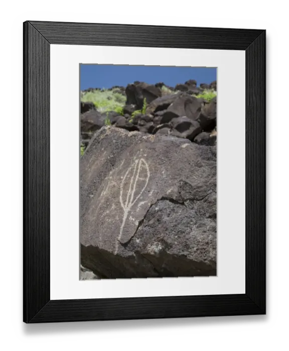 Framed Print : NM, New Mexico, Albuquerque, Petroglyph National Monument, Boca Negra Canyon, petroglyphs Framed Print : NM, New Mexico, Albuquerque, Petroglyph National Monument, Boca Negra Canyon, petroglyphs