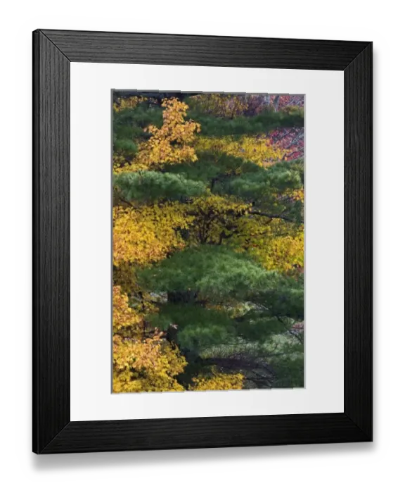 Framed Print : USA, North America, North Carolina Framed Print : USA, North America, North Carolina