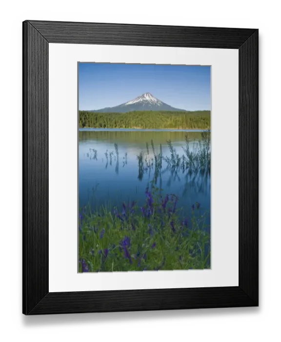 Framed Print : USA, OR, Mt. McLoughlin from Willow Lake Framed Print : USA, OR, Mt. McLoughlin from Willow Lake