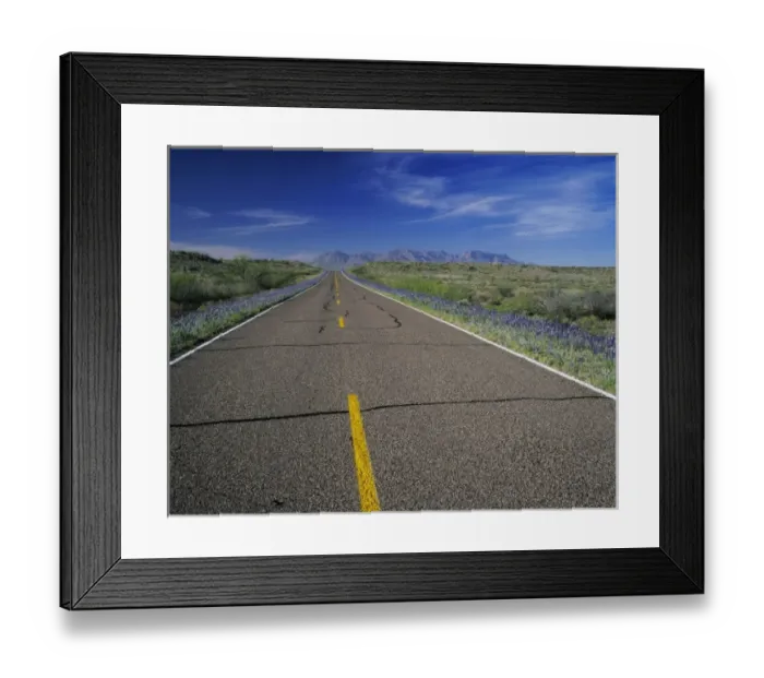 Framed Print : Park Road and Big Bend Bluebonnets, Big Bend National Park, Texas, USA Framed Print : Park Road and Big Bend Bluebonnets, Big Bend National Park, Texas, USA