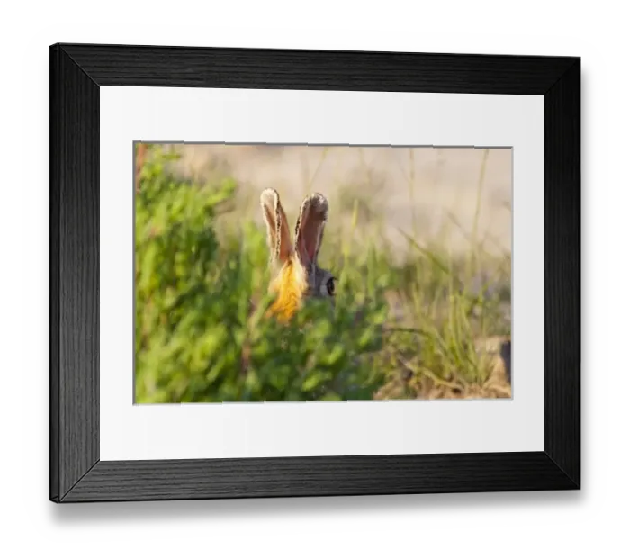 Framed Print : USA, North America, North Dakota Framed Print : USA, North America, North Dakota