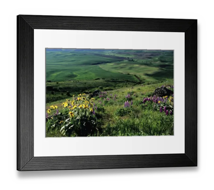 Framed Print : USA, North America, Washington Framed Print : USA, North America, Washington