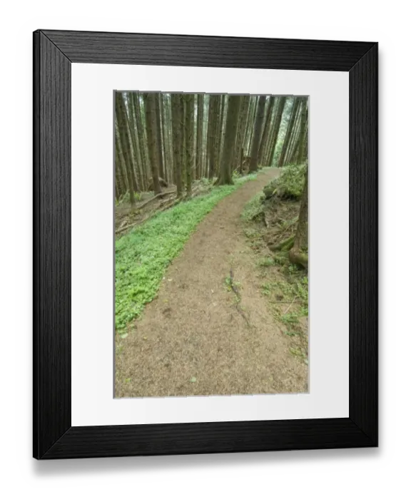 Framed Print : USA, North America, Oregon Framed Print : USA, North America, Oregon