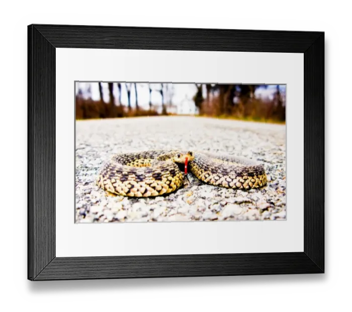 Framed Print : USA, North America, New Jersey Framed Print : USA, North America, New Jersey