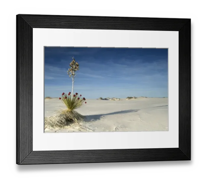 Framed Print : White Sands National Monument, New Mexico, United States Framed Print : White Sands National Monument, New Mexico, United States