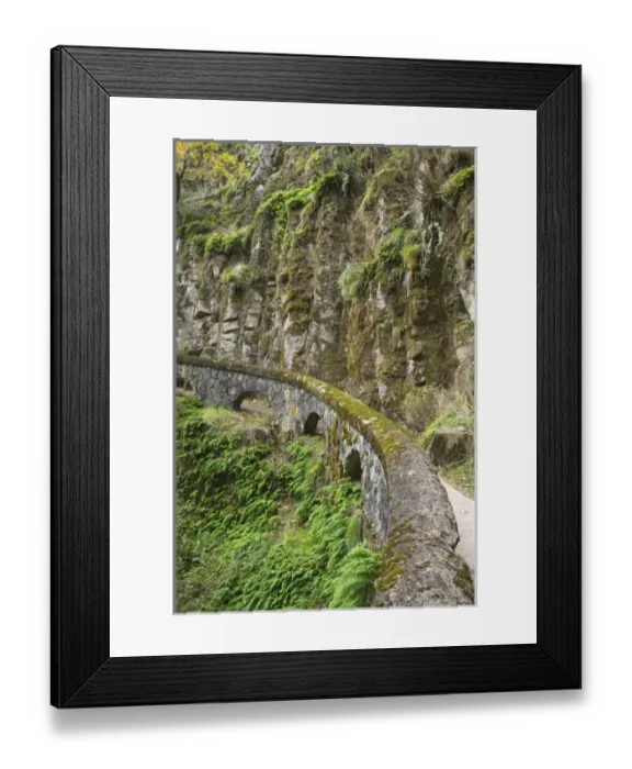 Framed Print : USA, North America, Oregon