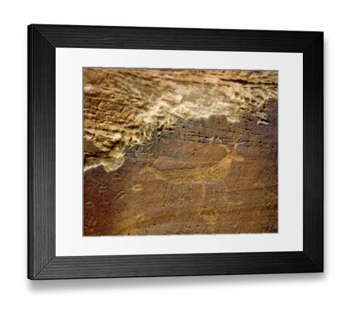 Framed Print : USA, Utah. Petroglyph carvings of animals on rock face Framed Print : USA, Utah. Petroglyph carvings of animals on rock face