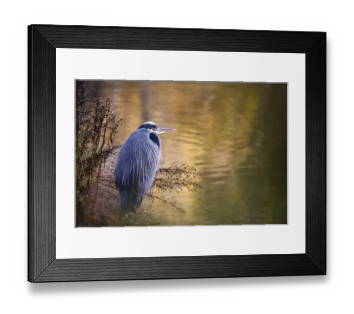 Framed Print : USA, North America, Washington Framed Print : USA, North America, Washington