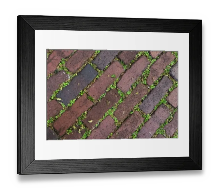 Framed Print : Charleston, South Carolina, USA. Moss grows between the bricks in historic Charleston