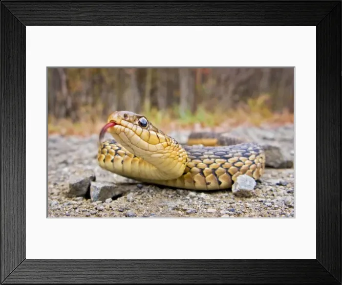 Framed Print : USA, North America, New Jersey Framed Print : USA, North America, New Jersey