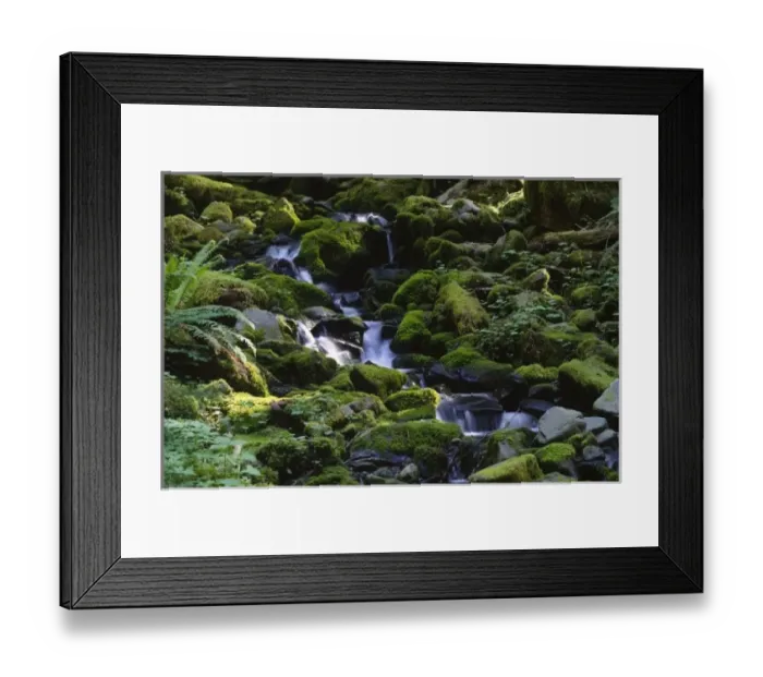 Framed Print : USA, North America, Washington