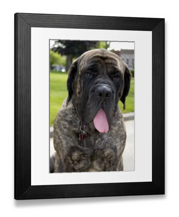 Framed Print : USA, North America, Ohio