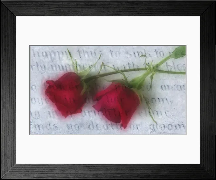 Framed Print : North America, USA, North Carolina, Bakersville, gravestone engravings paired with Framed Print : North America, USA, North Carolina, Bakersville, gravestone engravings paired with