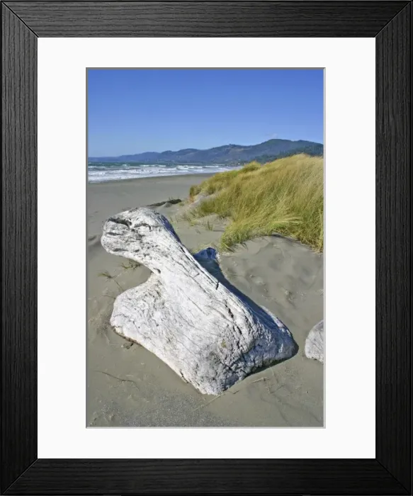 Framed Print : USA, North America, Oregon Framed Print : USA, North America, Oregon