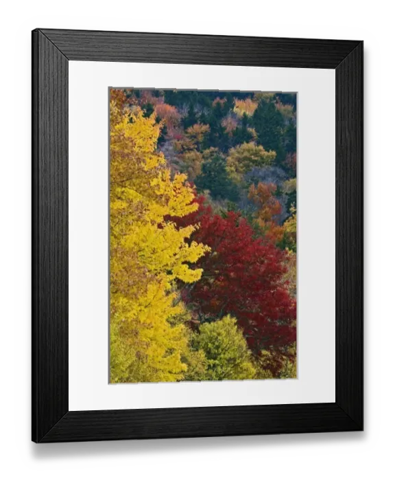 Framed Print : USA, North America, North Carolina Framed Print : USA, North America, North Carolina