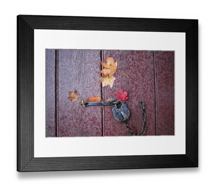 Framed Print : USA, Virginia, Williamburg. Colorful fall leaves collect near an old lock on an aged