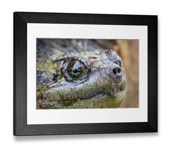 Framed Print : USA, North America, New Jersey Framed Print : USA, North America, New Jersey