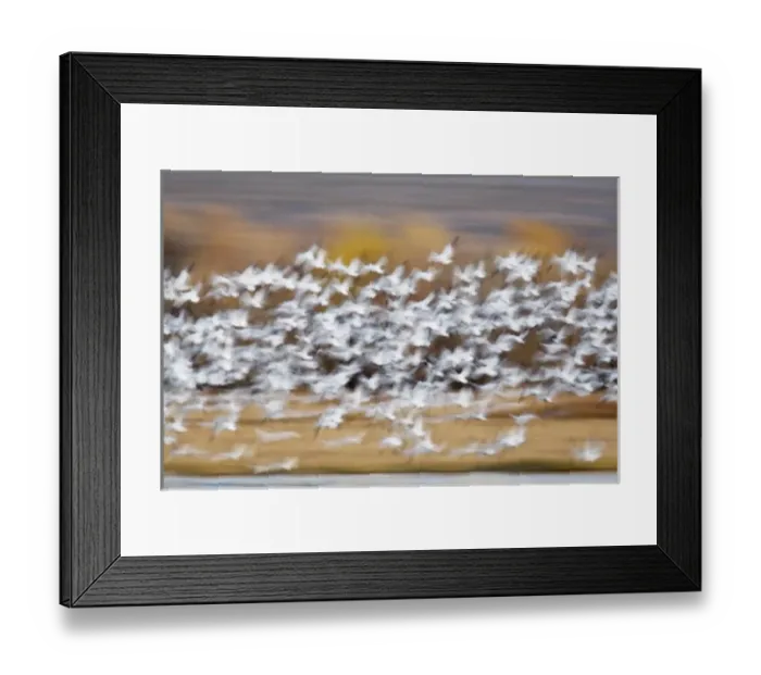 Framed Print : USA, North America, New Mexico Framed Print : USA, North America, New Mexico