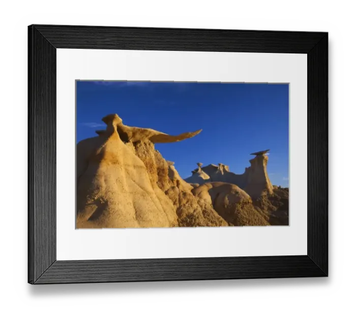 Framed Print : The Stone Wings badlands formations in the Bisti Wilderness in San Juan County, New Mexico Framed Print : The Stone Wings badlands formations in the Bisti Wilderness in San Juan County, New Mexico