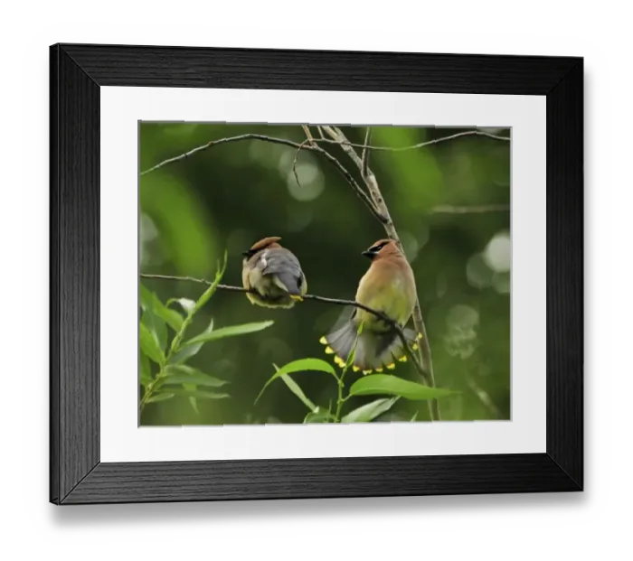 Framed Print : USA, North America, Oregon