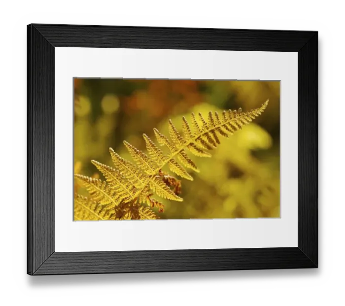 Framed Print : USA, North America, New Hampshire Framed Print : USA, North America, New Hampshire