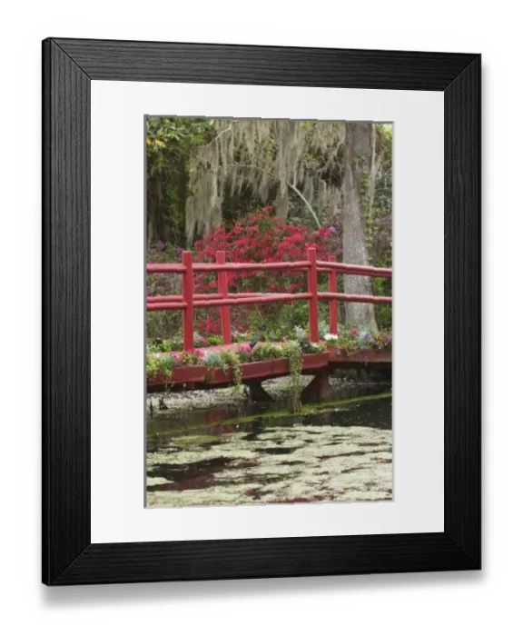 Framed Print : USA, North America, South Carolina Framed Print : USA, North America, South Carolina