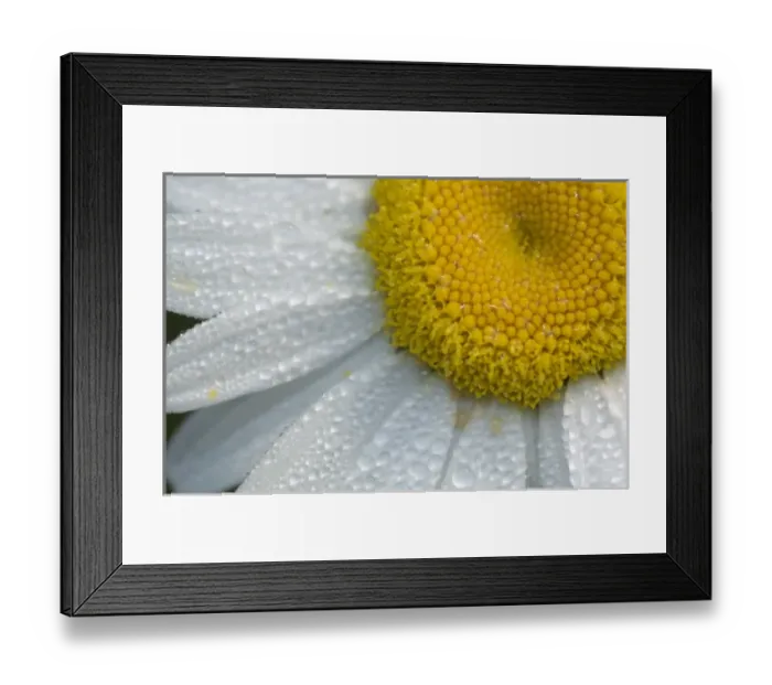 Framed Print : USA, North America, New York Framed Print : USA, North America, New York