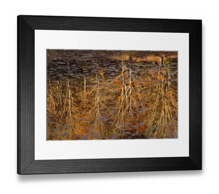 Framed Print : Abstract autumn reflections on Bass Lake, near Blowing Rock, North Carolina Framed Print : Abstract autumn reflections on Bass Lake, near Blowing Rock, North Carolina