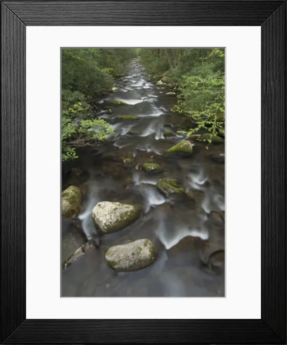 Framed Print : USA, North America, Tennessee