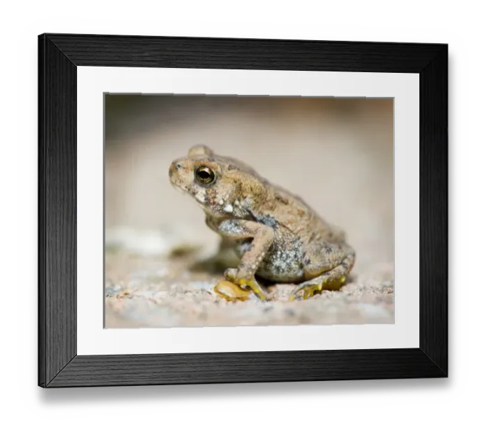 Framed Print : USA, North America, New Jersey