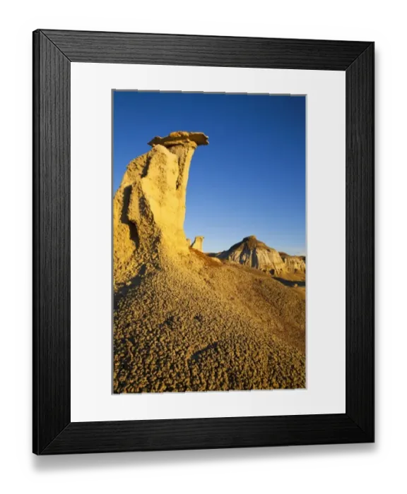 Framed Print : Badlands formations in the Bisti Wilderness in San Juan County, New Mexico, USA Framed Print : Badlands formations in the Bisti Wilderness in San Juan County, New Mexico, USA