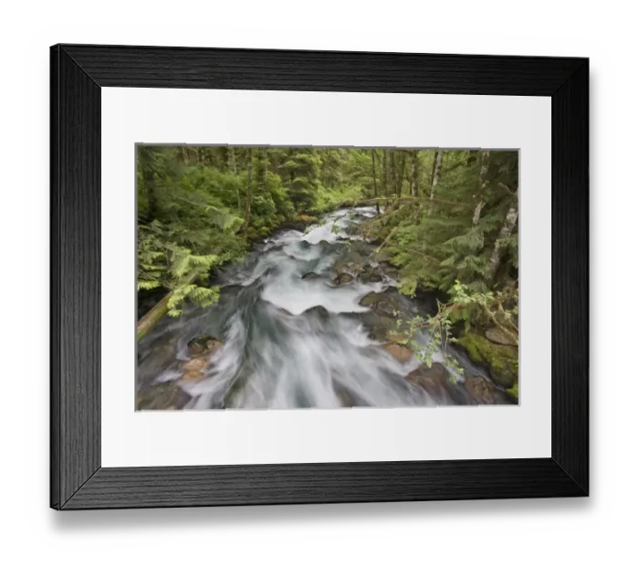 Framed Print : USA, North America, Washington