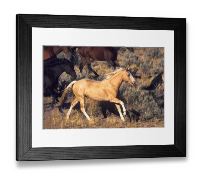 Framed Print : USA, North America, Oregon Framed Print : USA, North America, Oregon