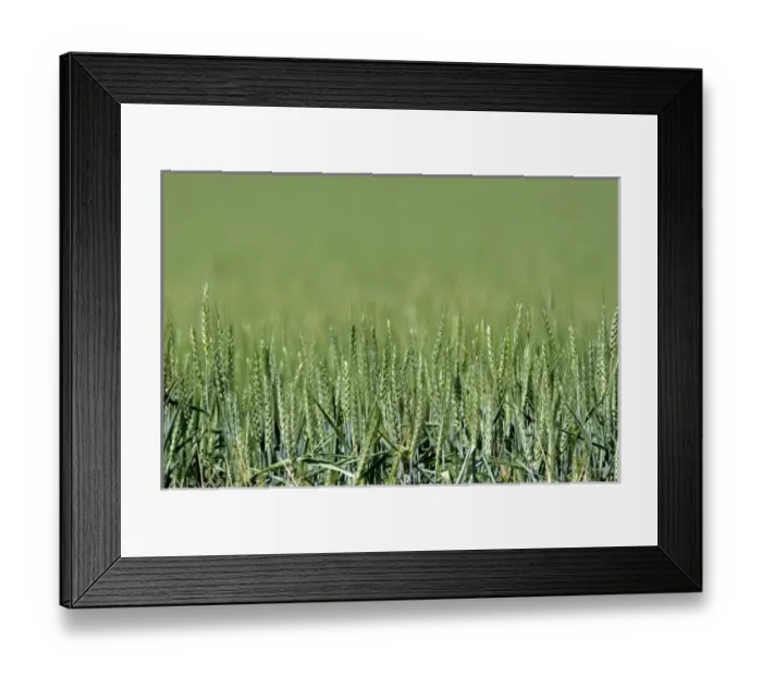Framed Print : USA, North America, Oregon