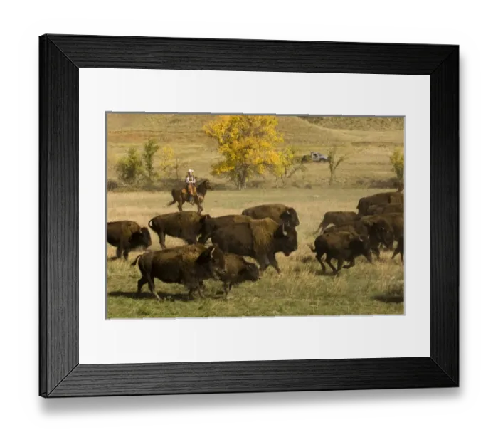 Framed Print : USA, North America, South Dakota Framed Print : USA, North America, South Dakota