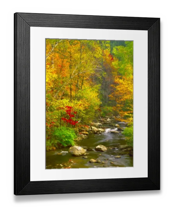 Framed Print : USA, North America, Virginia Framed Print : USA, North America, Virginia