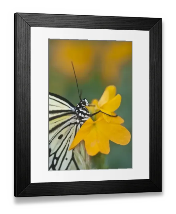 Framed Print : USA, North America, Pennsylvania Framed Print : USA, North America, Pennsylvania