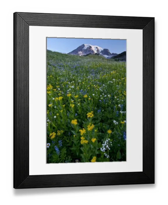 Framed Print : USA, North America, Washington Framed Print : USA, North America, Washington