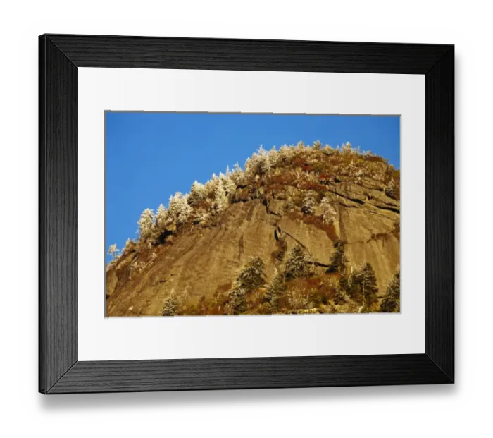Framed Print : Snow and frost coat trees on Grandfather Mountain in North Carolina