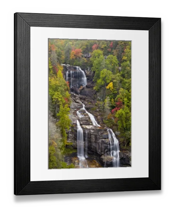Framed Print : USA, North America, North Carolina