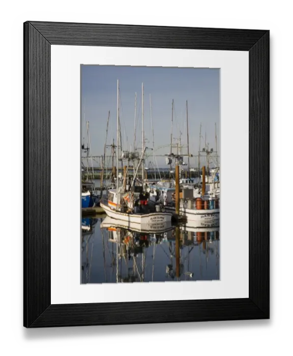 Framed Print : Unknown. OR, Oregon Coast, Newport, Commercial fishing fleet at the Port of Newport Framed Print : Unknown. OR, Oregon Coast, Newport, Commercial fishing fleet at the Port of Newport